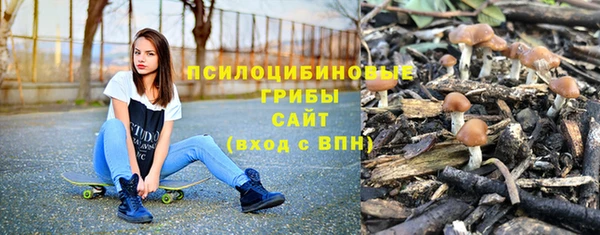 крисы Баксан