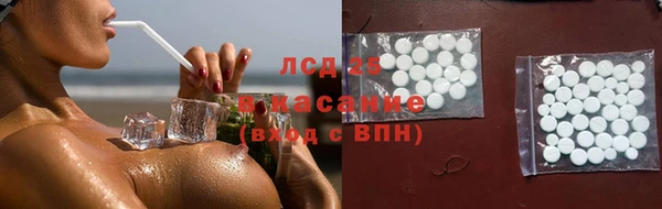 крисы Баксан