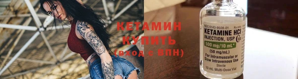 крисы Баксан