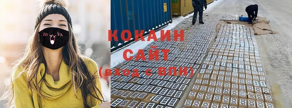 крисы Баксан