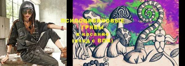 амф Струнино