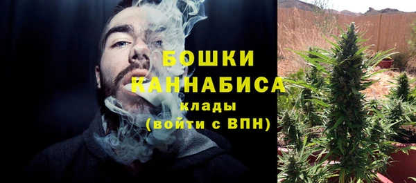 крисы Баксан