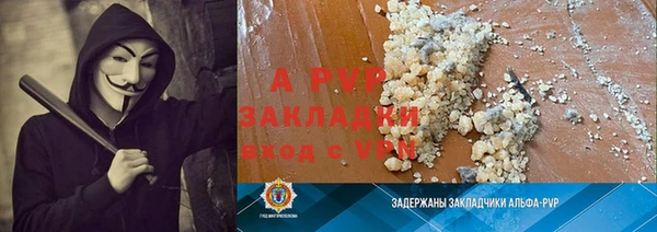 крисы Баксан