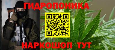 хмурый Бийск