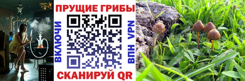 hydra вход Верхняя Салда Галлюциногенные грибы GOLDEN TEACHER