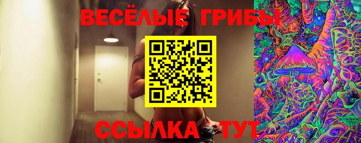 Верхняя Салда  Псилоцибиновые грибы прущие грибы  наркотики  Вход с VPN 